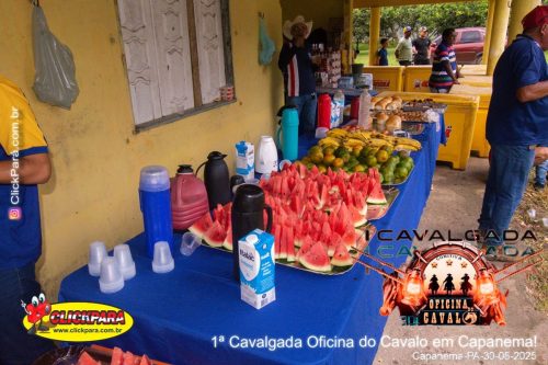 FOTOS-2