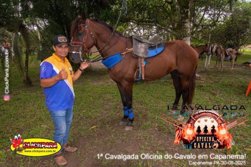 FOTOS-6